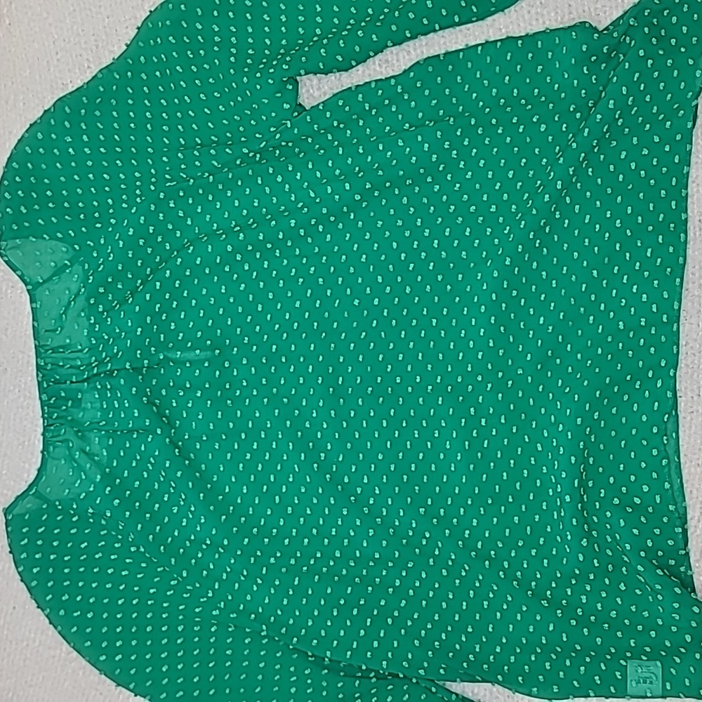 J Crew Flowy Sheer Silk Chiffon Long Sleeve Dot Blouse in Green - Picture 16 of 17